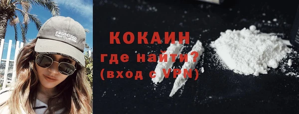 твердый Новодвинск