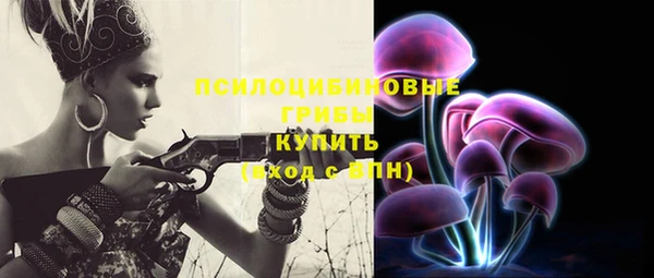 СК Новокубанск