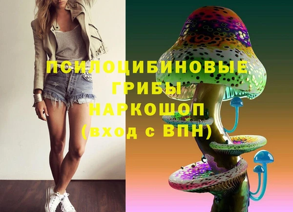 твердый Новодвинск
