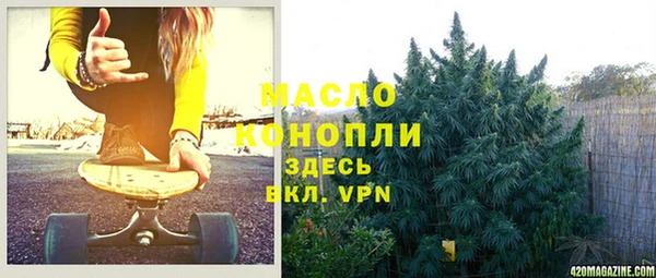 твердый Новодвинск