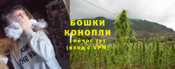 твердый Новодвинск