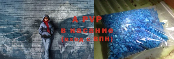 твердый Новодвинск