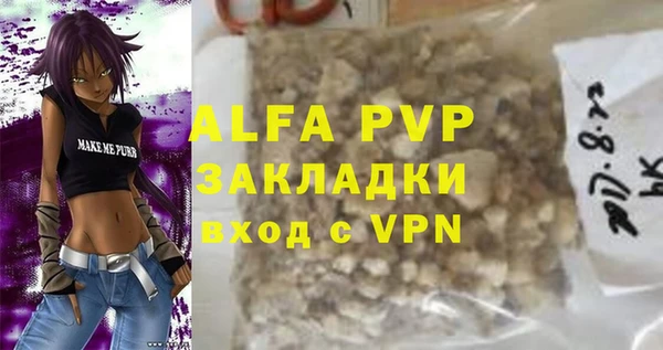 твердый Новодвинск