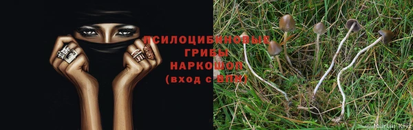 мяу мяу кристалл Новозыбков