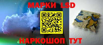 стаф Гай