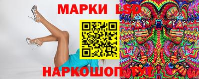 стаф Гай
