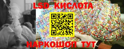 стаф Гай
