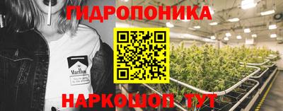 ГАЛЛЮЦИНОГЕННЫЕ ГРИБЫ Гатчина