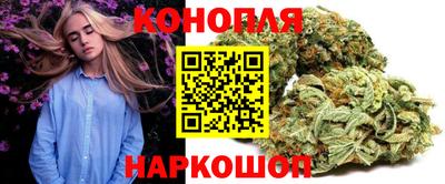 стаф Гай