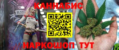 стаф Гай