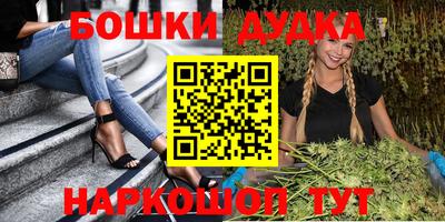 стаф Гай