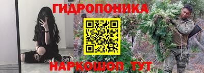 ГАЛЛЮЦИНОГЕННЫЕ ГРИБЫ Гатчина