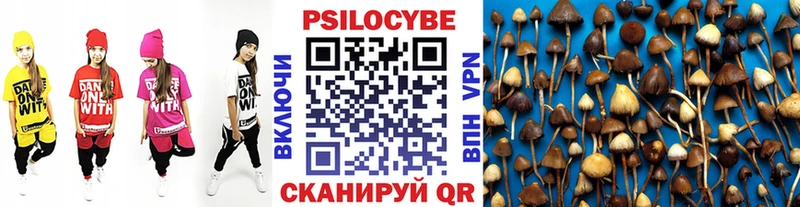 закладки  Уфа  shop Telegram  Псилоцибиновые грибы Psilocybe 